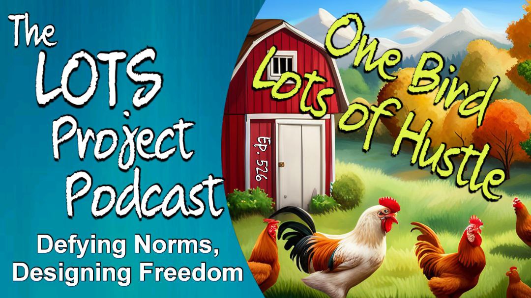 1 Bird Lots of Hustle