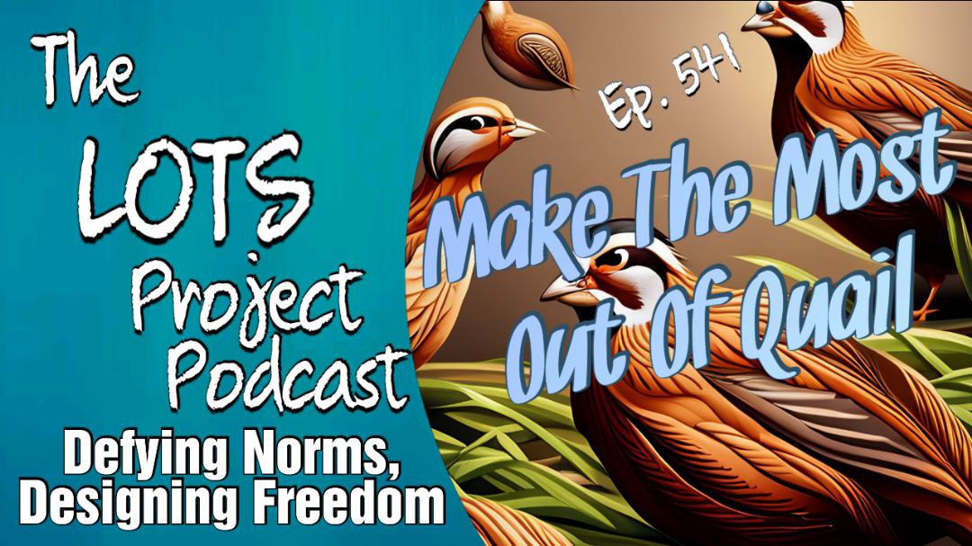 Make The Most Out Of Quail