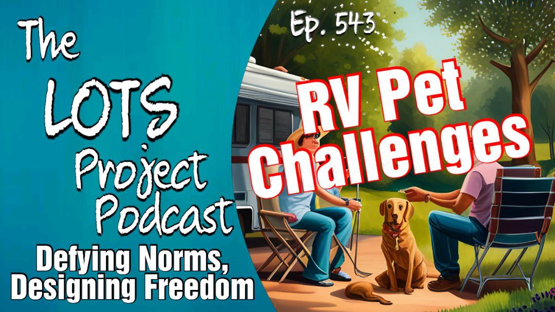 RV Pet Challenges